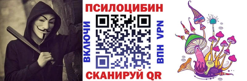 Псилоцибиновые грибы MAGIC MUSHROOMS  Купить закладки  Болохово 
